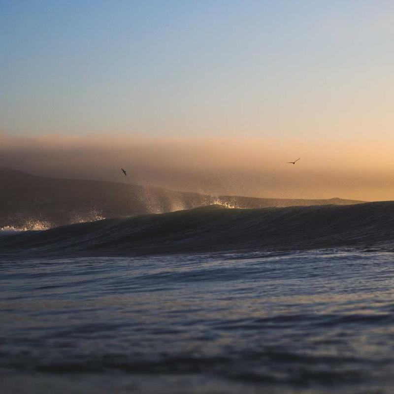 Túi xách da cầm tay Elegant