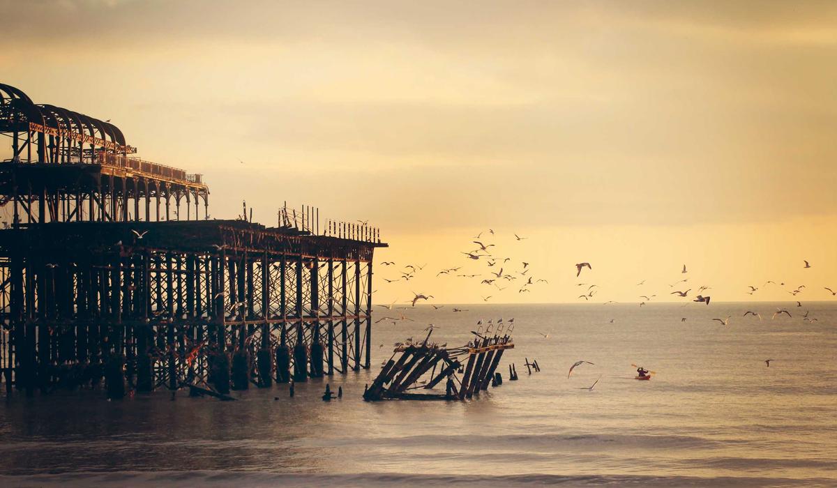 Diver Bio and Equipment