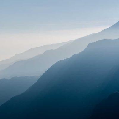 Tảo biển nghệ thuật