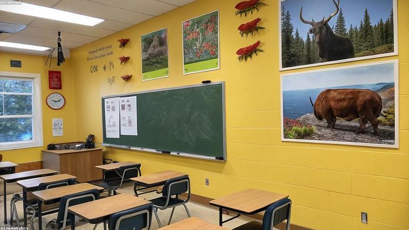 Giáo viên sử dụng bảng thông minh trong lớp học