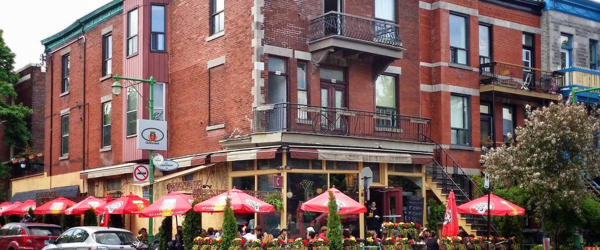 Hydroponic Bar Garden