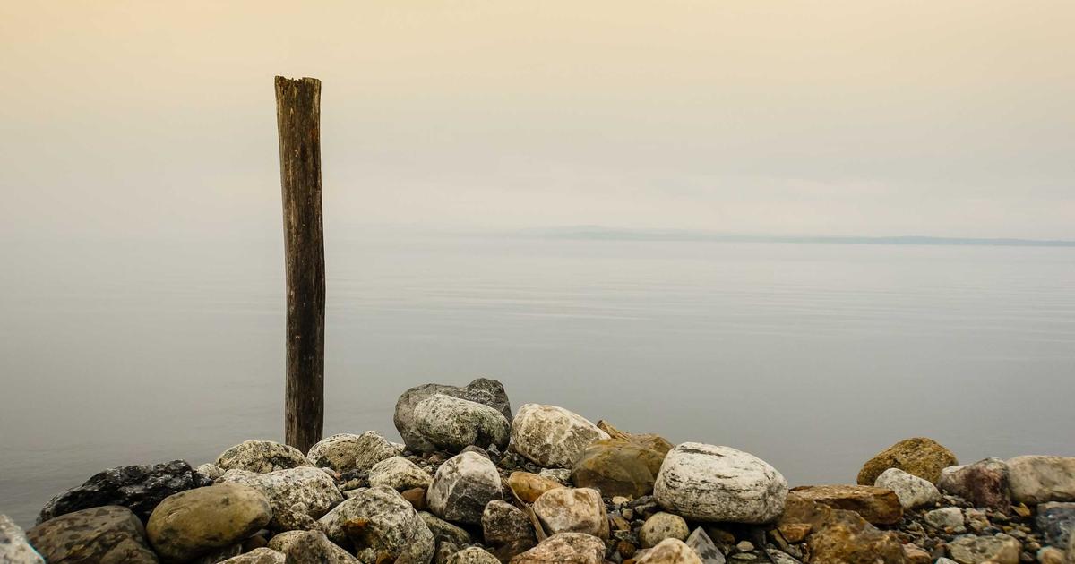 Top 5 xu hướng thiết kế website AI bùng nổ năm 2024 cùng BrandBoost