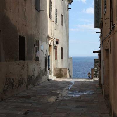 Bánh ăn dặm 2026