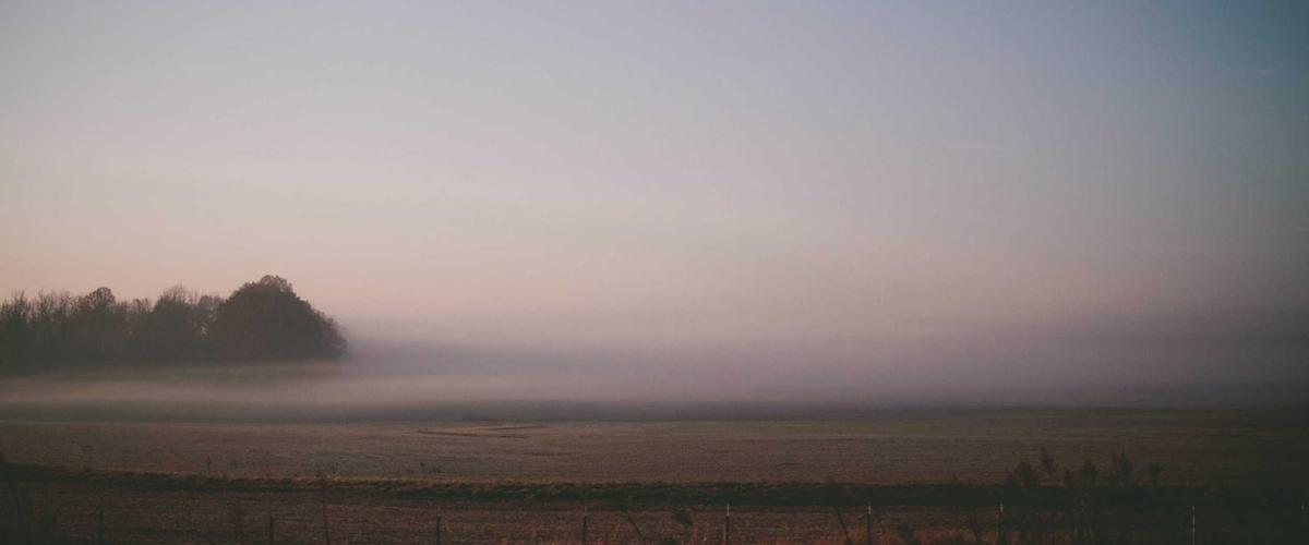 Kết thúc bài viết mỹ phẩm hữu cơ