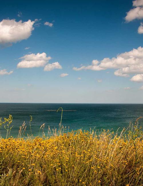 Phân tích sinh học 2026