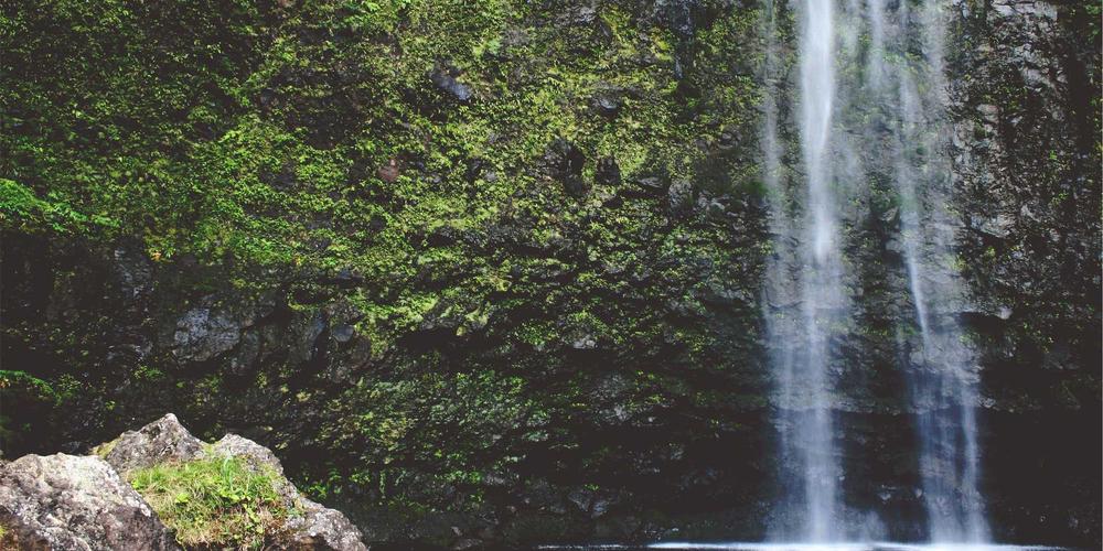 Kiểm toán và quyết toán thuế