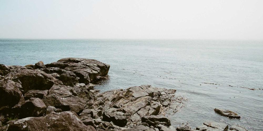 Matcha trà đạo nhật bản 2026