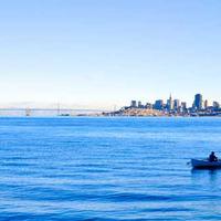 Case bảo vệ AR 2026