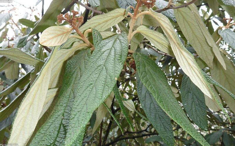 Tầm nhìn tương lai xanh