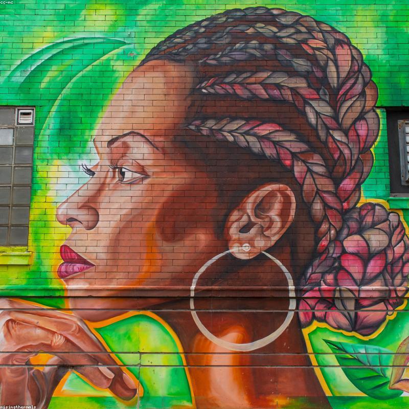 Trà Thảo Mộc Dưỡng Nhan 7 Vị