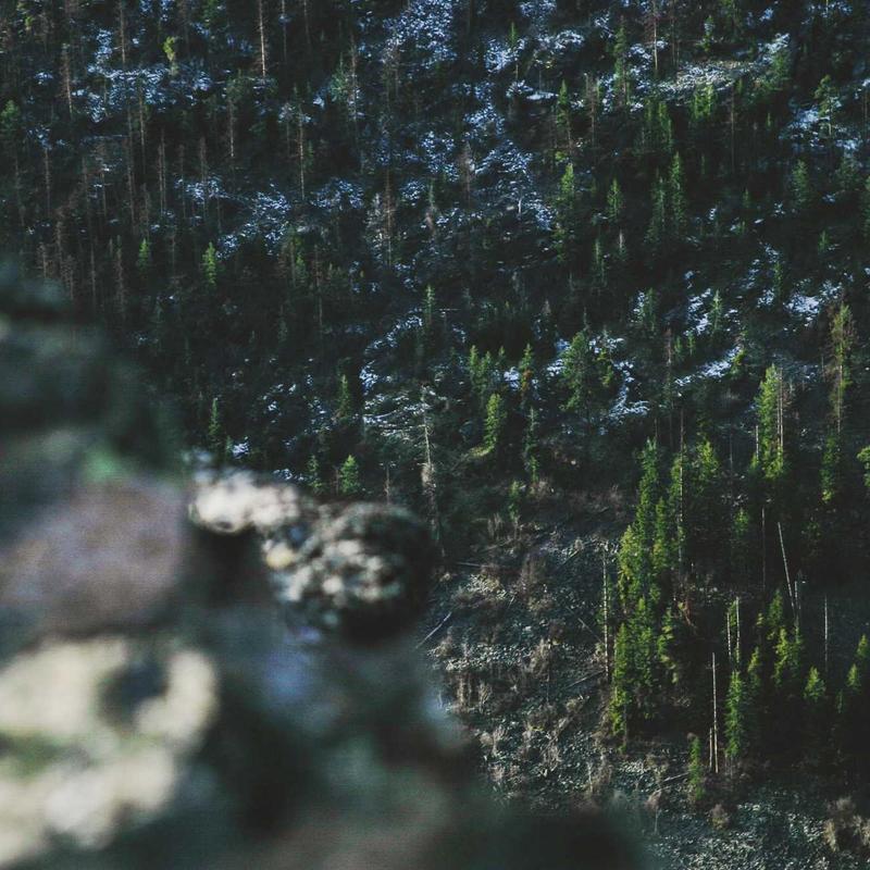 Đồng hồ Rolex Submariner Date 'Emerald Green' 2026 4