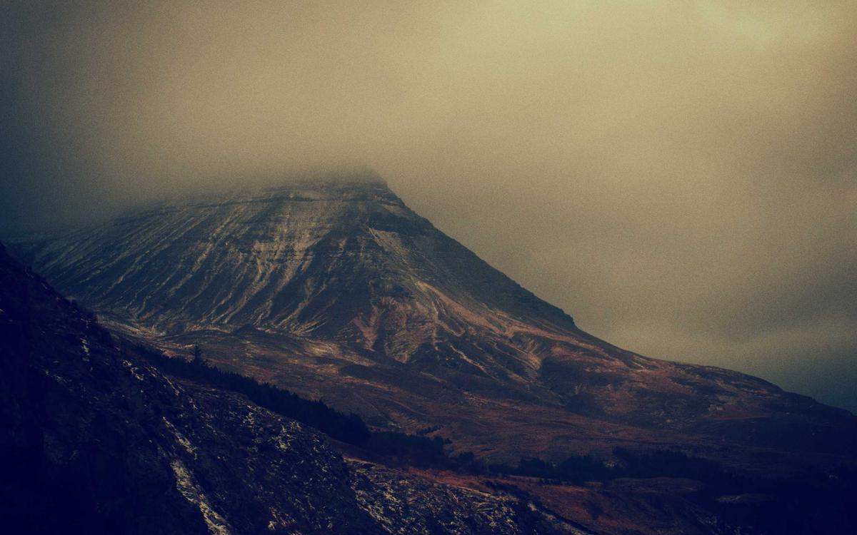 Trưng bày Bonsai nghệ thuật 2026