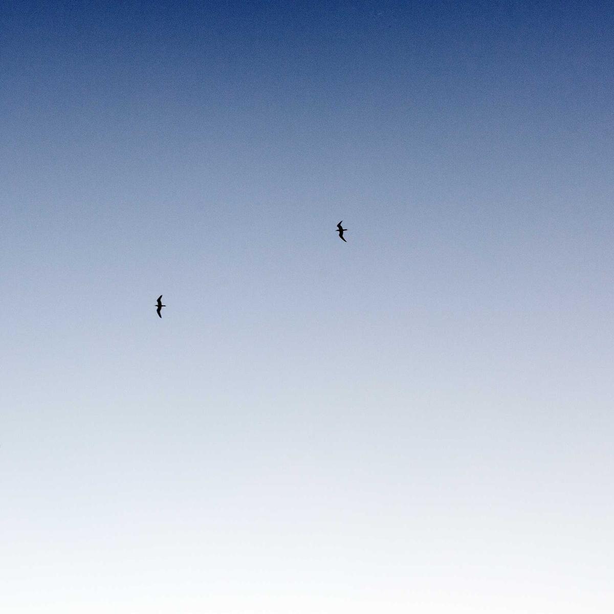 Đàn Hương Signature