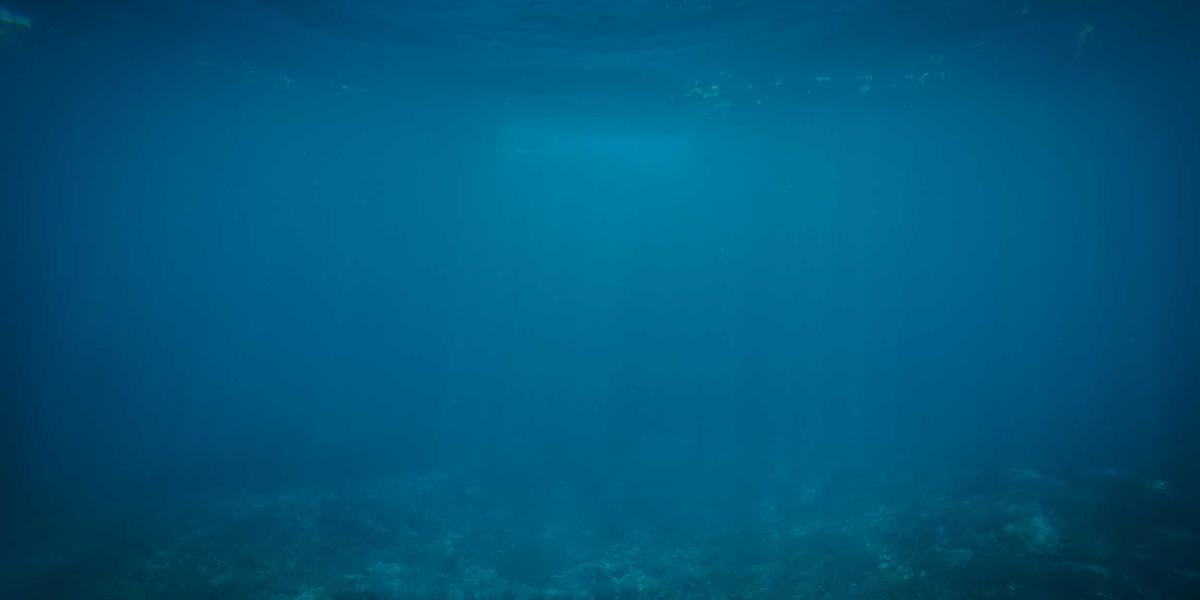 Giao diện website chuyên nghiệp