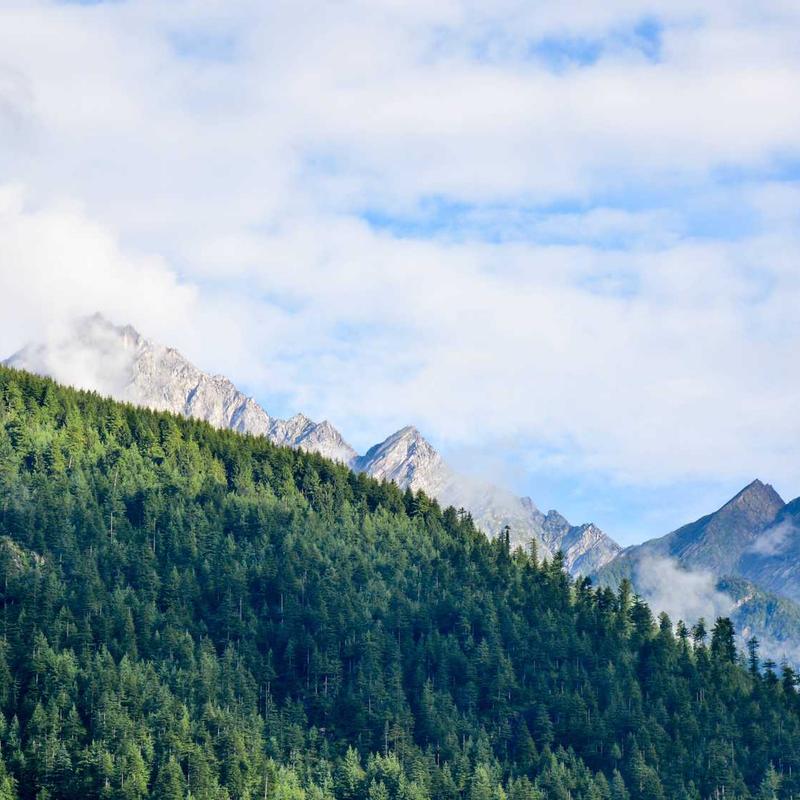 Áo Sơ Mi Nam Oxford Premium 2