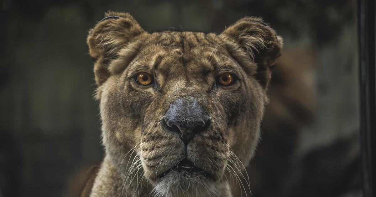 Phân tích lợi ích của thiết kế website AI so với phương pháp truyền thống: Tại sao nên chọn BrandBoost?