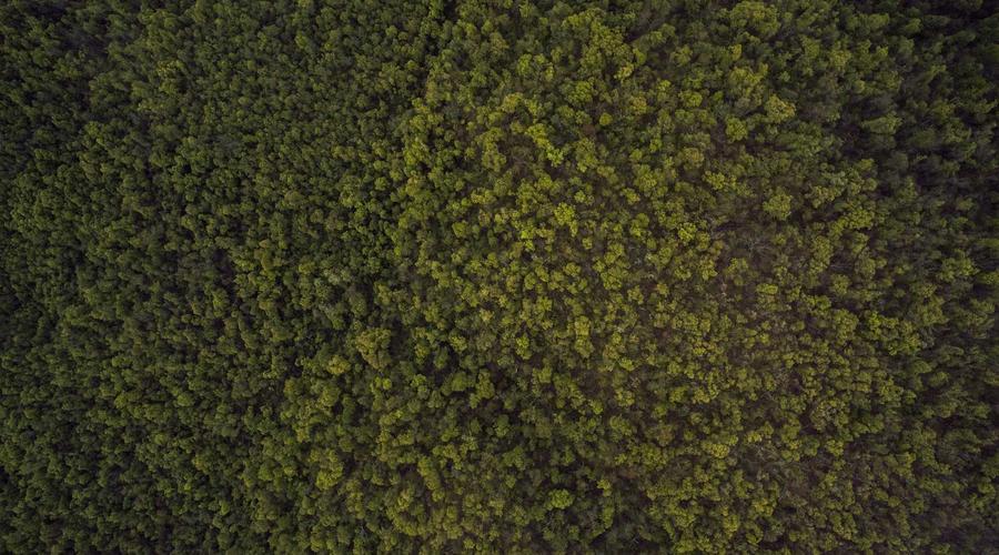 Quy hoạch đô thị vệ tinh