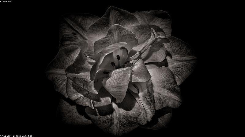 Modern Architecture City