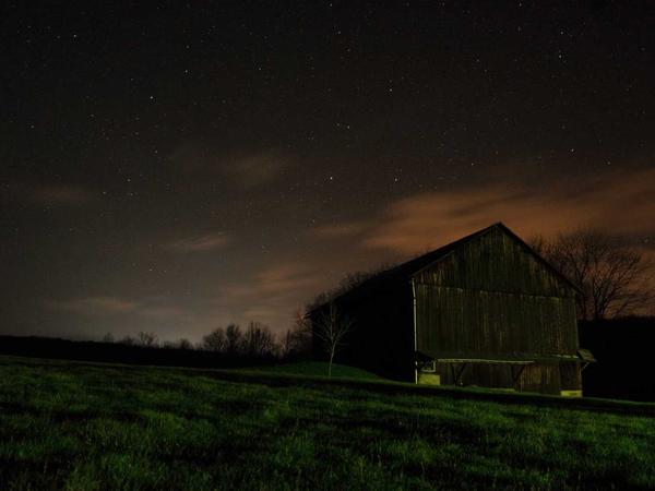 Behavioral Analytics