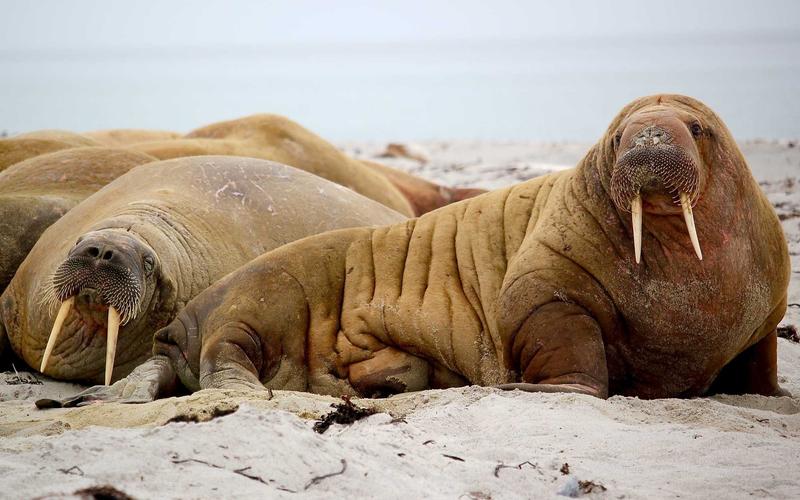 Sustainable Streetwear 2026 Trends