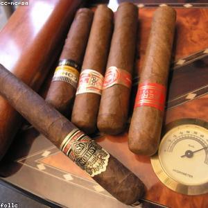 Partagas Serie D No. 4