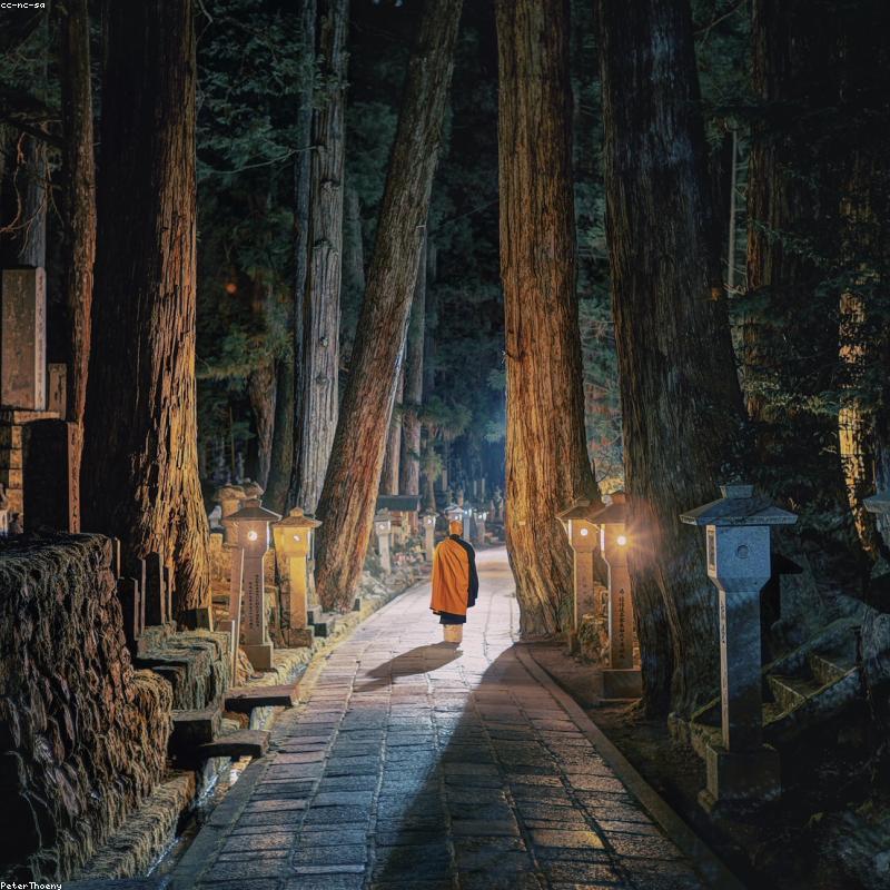 Tính năng cảm biến