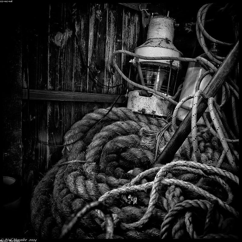 Cáp Sạc Nhanh Bọc Dù Siêu Bền Type-C