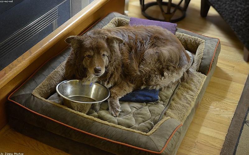 Bát hạt dinh dưỡng và trái cây khô