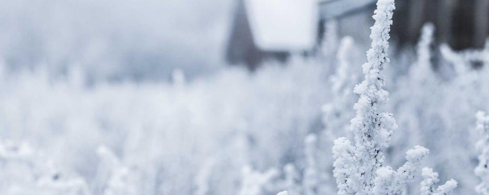 Phụ kiện xe đẩy