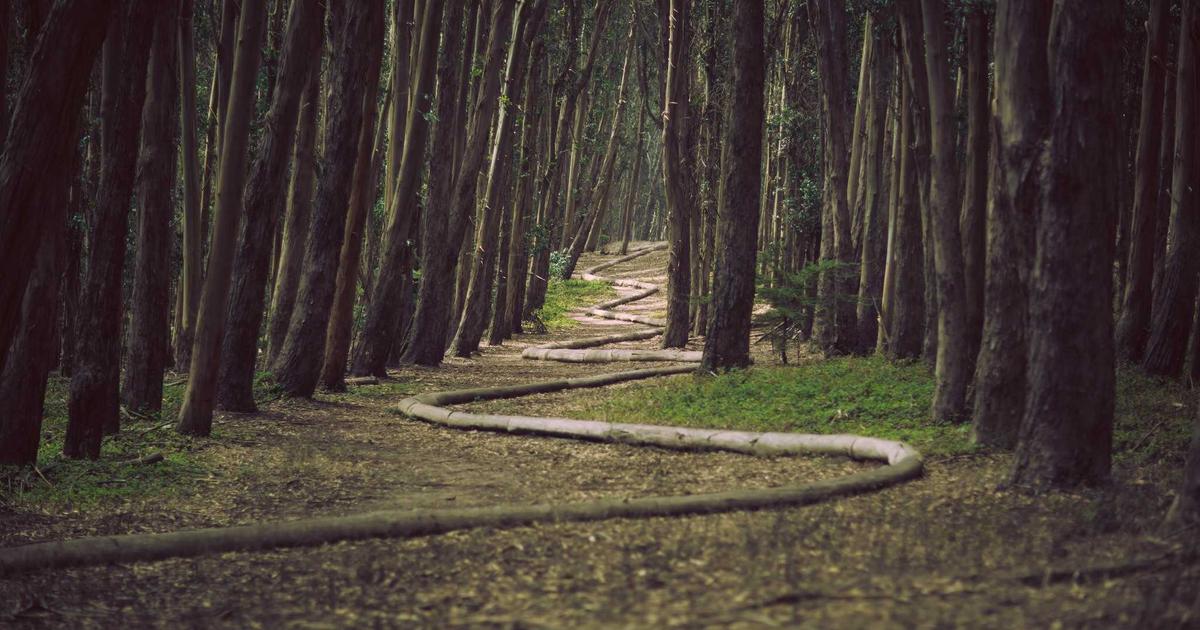 Hướng Dẫn Xây Dựng Quy Trình Facial Treatment Chuẩn Y Khoa Tại Nhà Theo Lời Khuyên Của Bùi Lệ Quyên