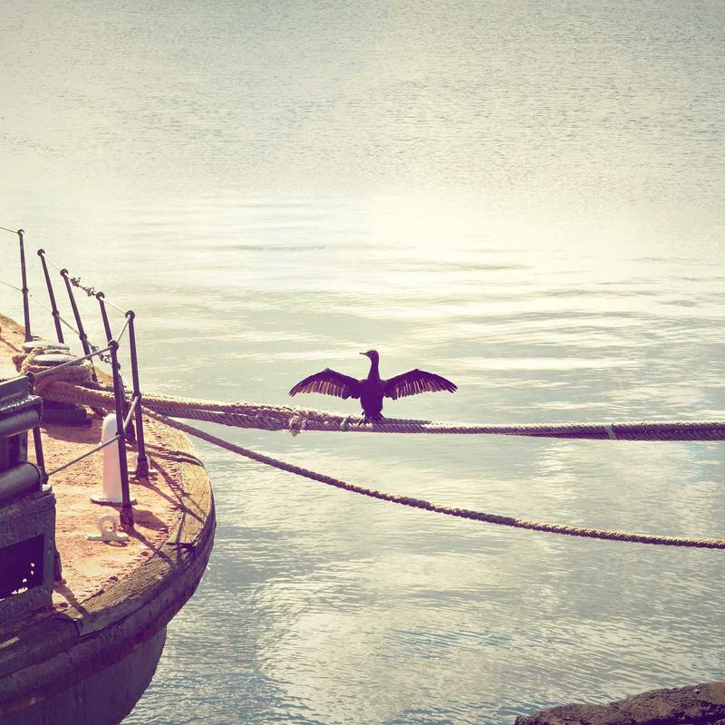 Vở ghi chép đồng bộ số Smart-Cloud 2026 3