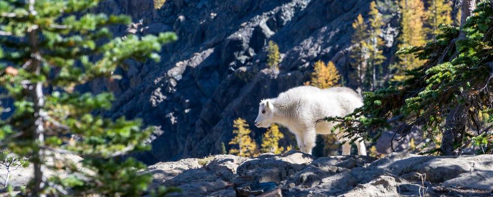 Post-Quantum Compliance 2026 Graph