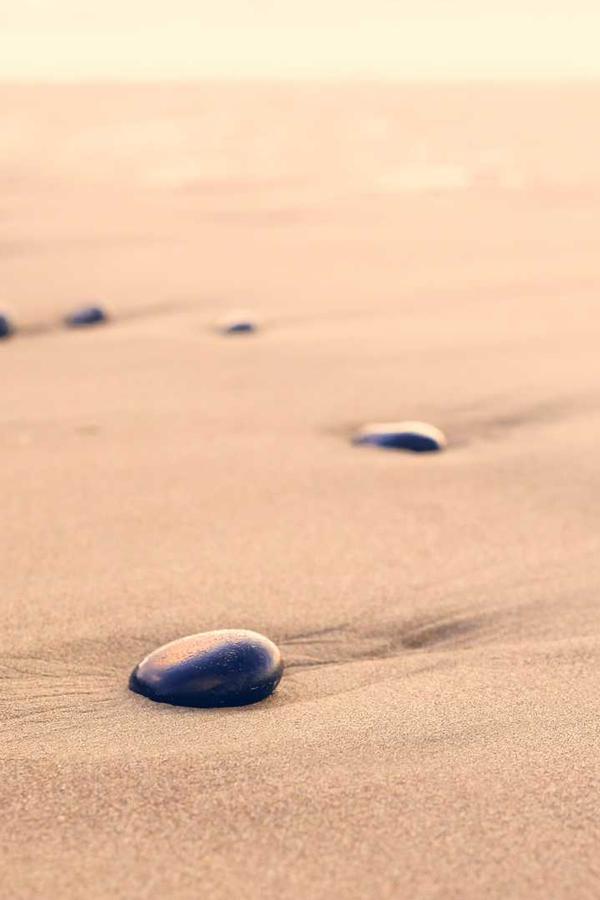 Executive Selection 2