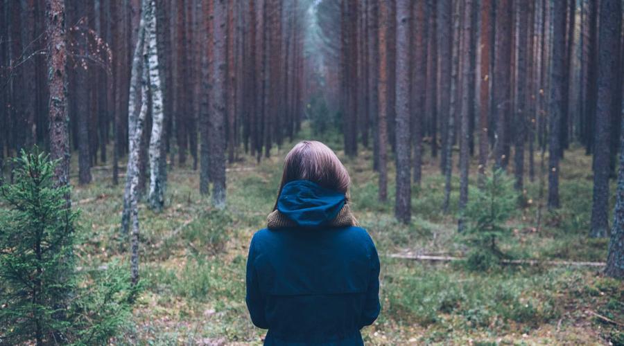 Robot in Warehouse 2026