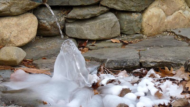 Dịch vụ spa thú cưng chuyên nghiệp tại PetMart VN