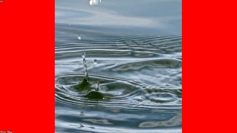 Quy trình làm bánh