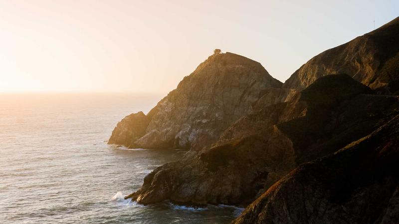 Thú y 2026 công nghệ cao