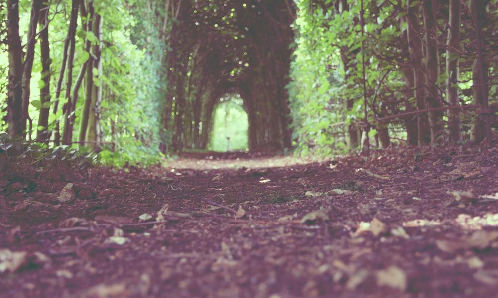 Tương lai công nghệ