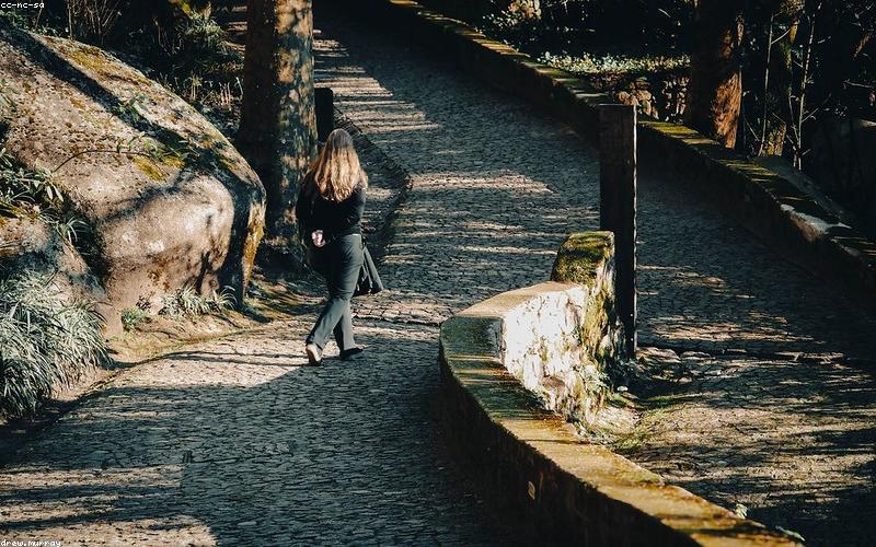 Đường mòn trong rừng