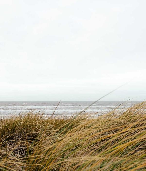 Master Tailor at work 2026