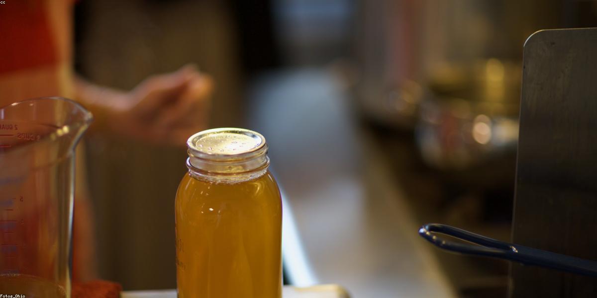 Bodybuilding Contest Prep Professional