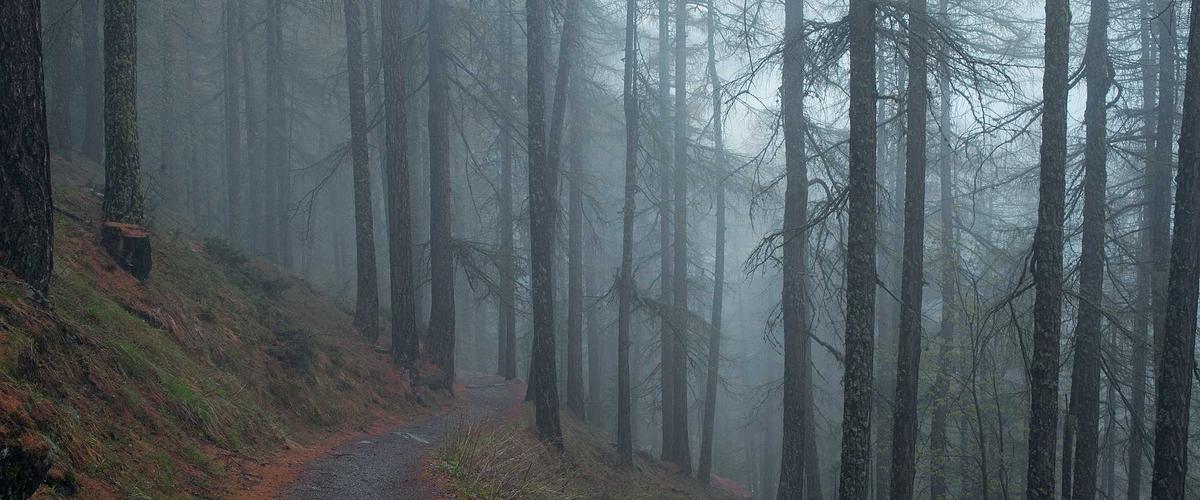 Bảng điều khiển BlockTrust Shield 2026