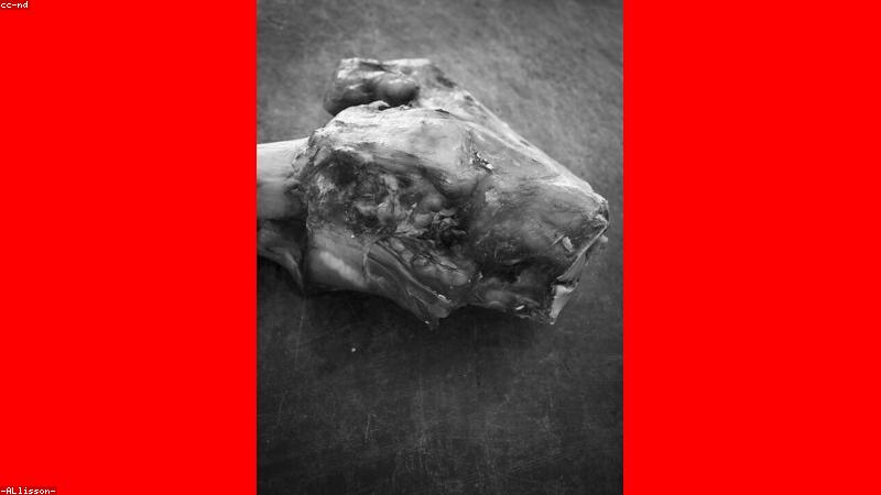 Creative Design with AI