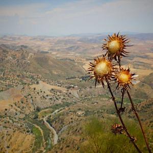 Thẩm mỹ công nghệ BrandGens