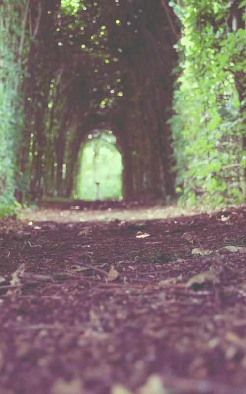 Phong cách Polo 2026