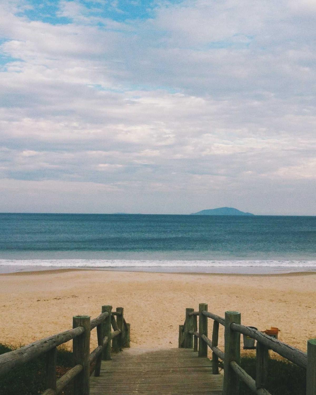 Press-on Nail Collection - The Minimalist