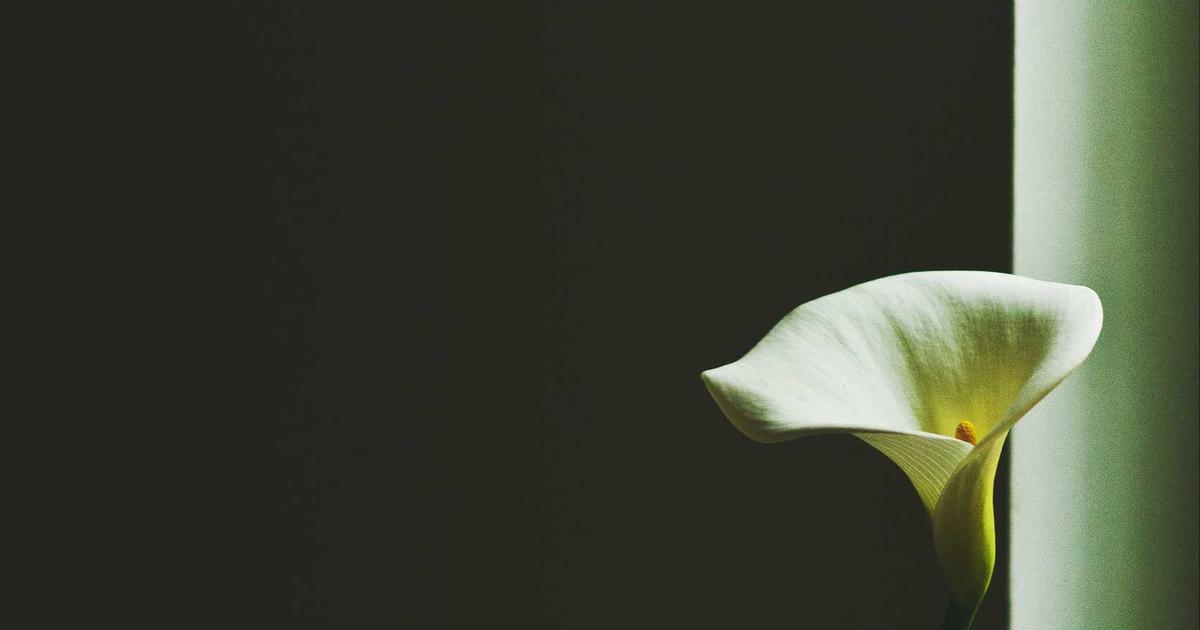 Trần Anh cập nhật 5 xu hướng công nghệ mới nhất định hình tương lai năm 2024