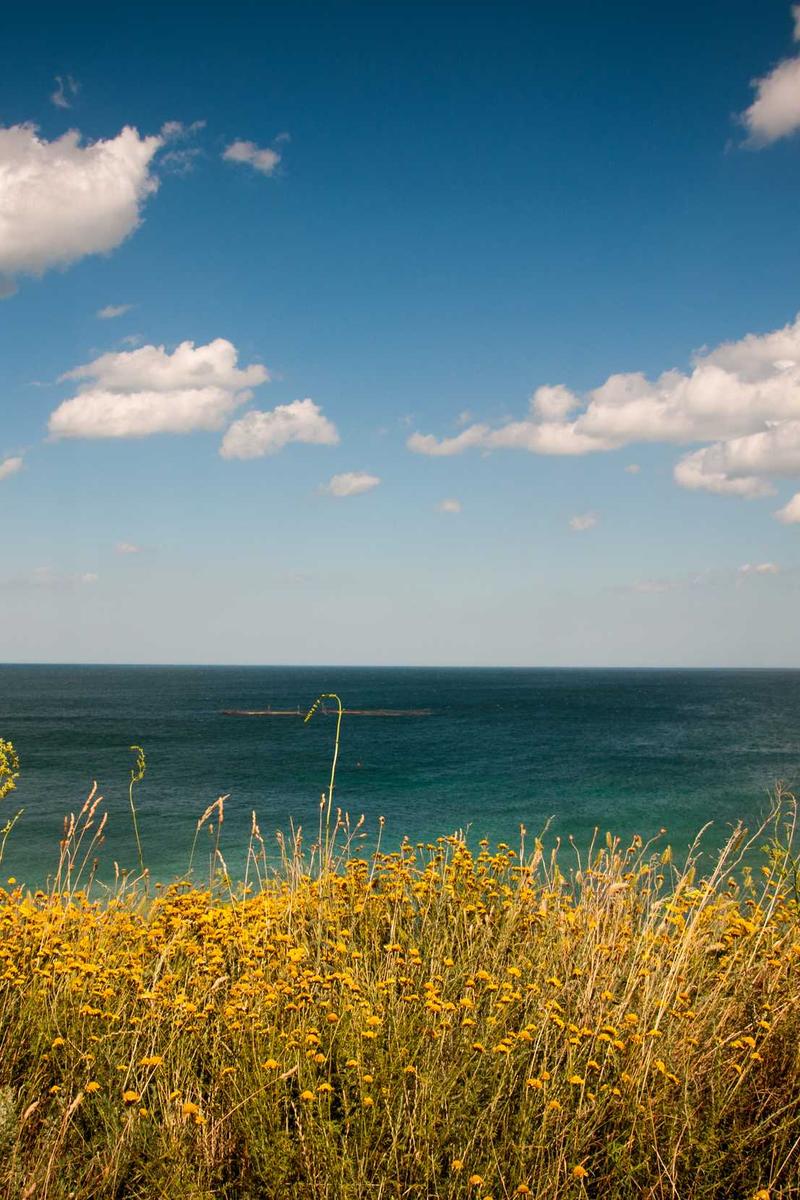 Smart chip integration