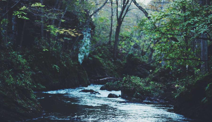 Một ly cà phê và lá bài tarot