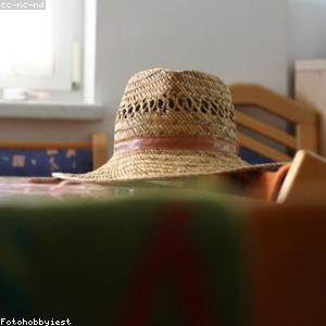 Phụ kiện kính hiển vi